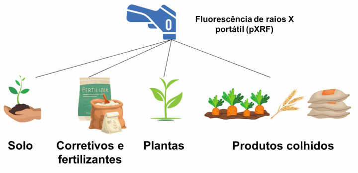 Figura 1. Resumo esquemático das atividades do projeto P-001-MG-155.