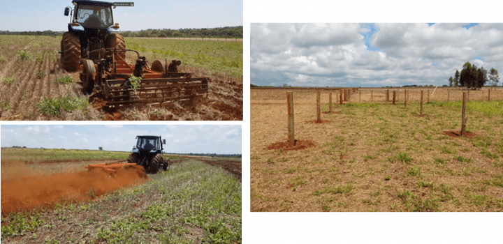 Imagens mostrando os diferentes tipos de manejo na área experimental devido ao recurso disponibilizado pelo PRS-Cerrado.