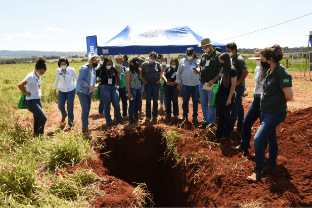 Figura: Dia de Campo Embrapa Arroz e FeijãoPhoto: Sebastião Araújo