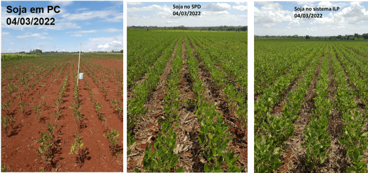 Soja em: PC, SPD e ILP